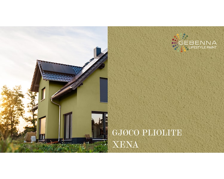 PLIOLITE FARVEKORT XENA